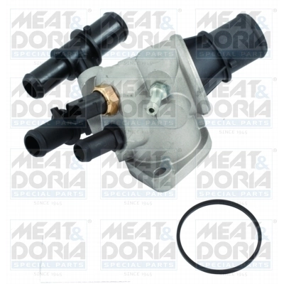 Thermostat, coolant